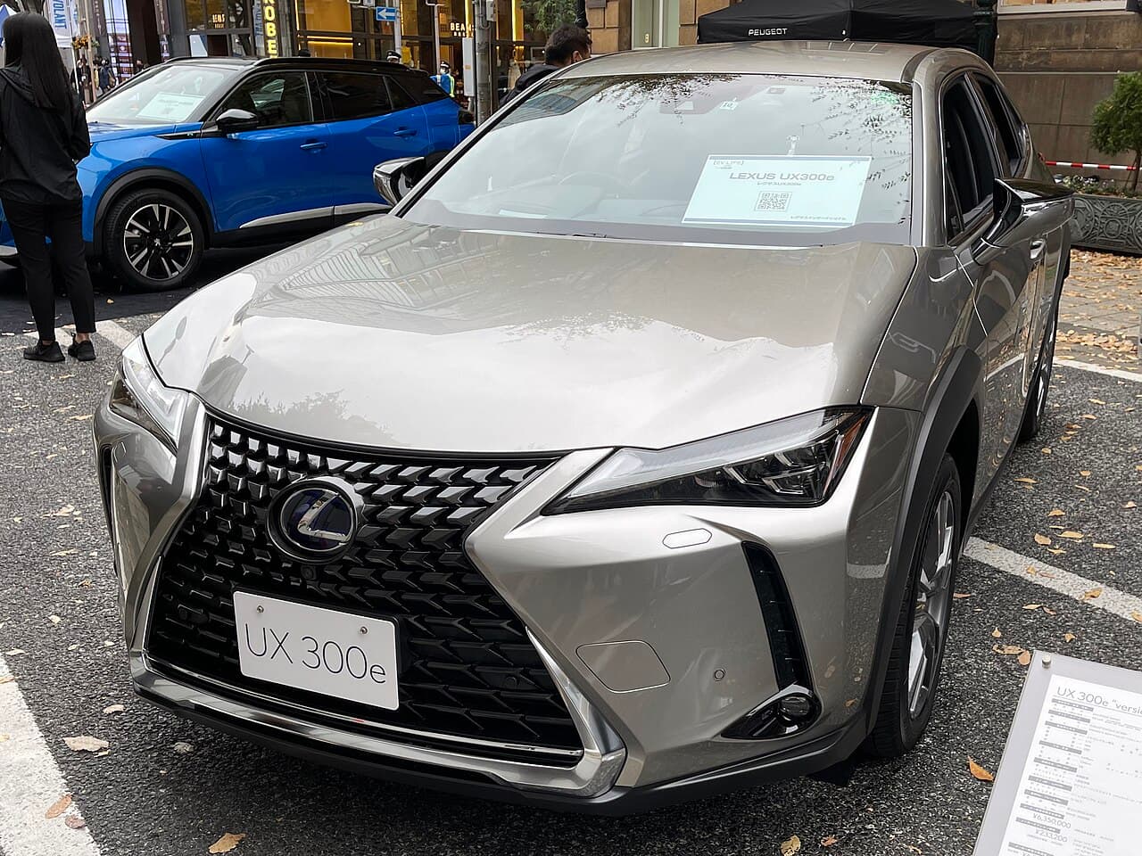 Lexus UX 300e